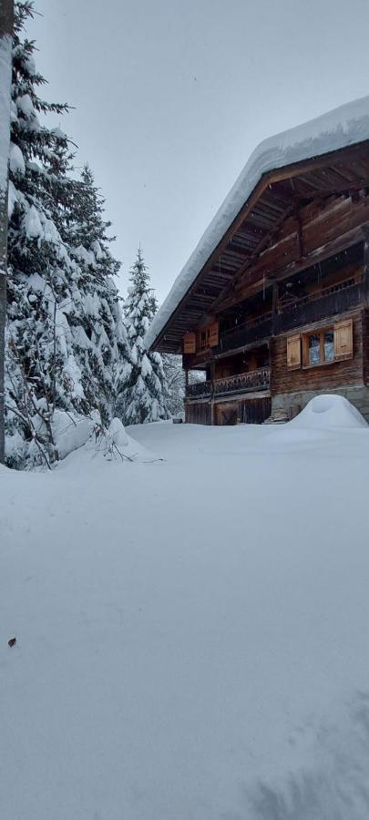 Charmieux Appartement En Chalet Typique Le Grand-Bornand Eksteriør bilde